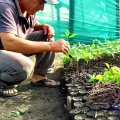 L'ONG Progreso plantant des arbres au Pérou